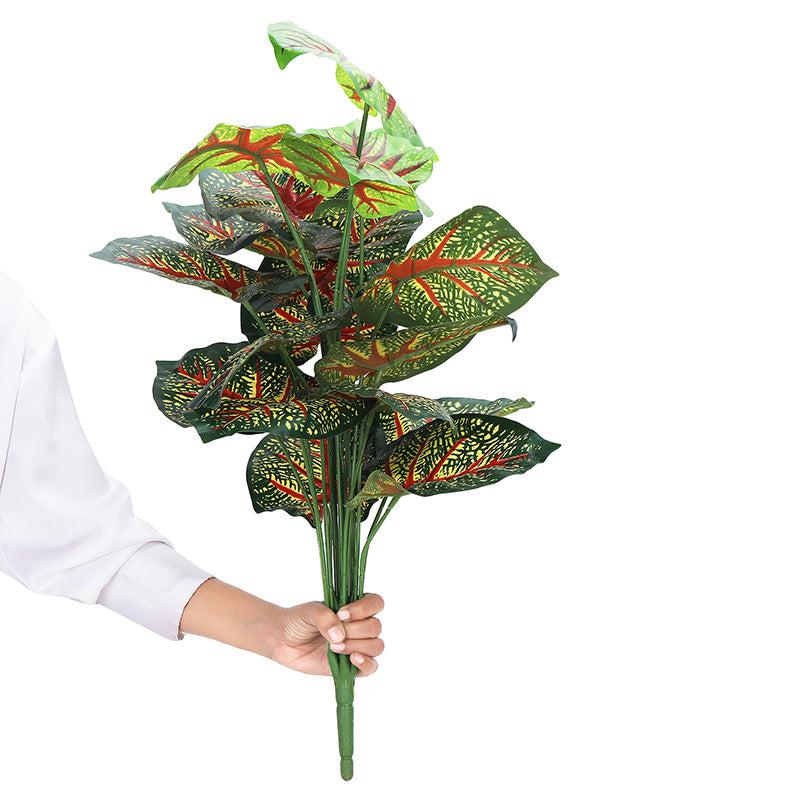 Buy Faux Botanic Caladium Plant - 2 Feet Artificial Plants from Vaaree