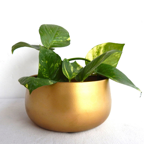 Buy Sylvie Metal Planter - Gold Pots & Planters from Vaaree