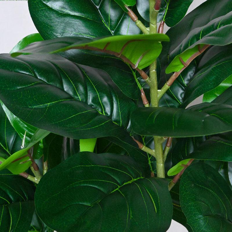 Buy Faux Everlasting Fiddle-Leaf Fig Plant With Pot - 3.2 Feet Artificial Plants from Vaaree