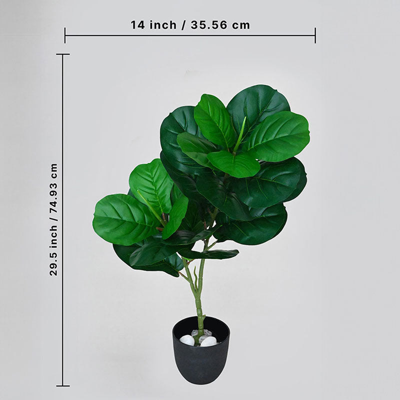 Buy Faux Everlasting Fiddle-Leaf Fig Plant With Pot - 2.5 Feet Artificial Plants from Vaaree