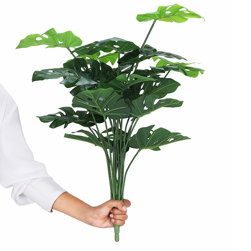 Buy Faux Botanic Monstera Plant - 2 Feet Artificial Plants from Vaaree