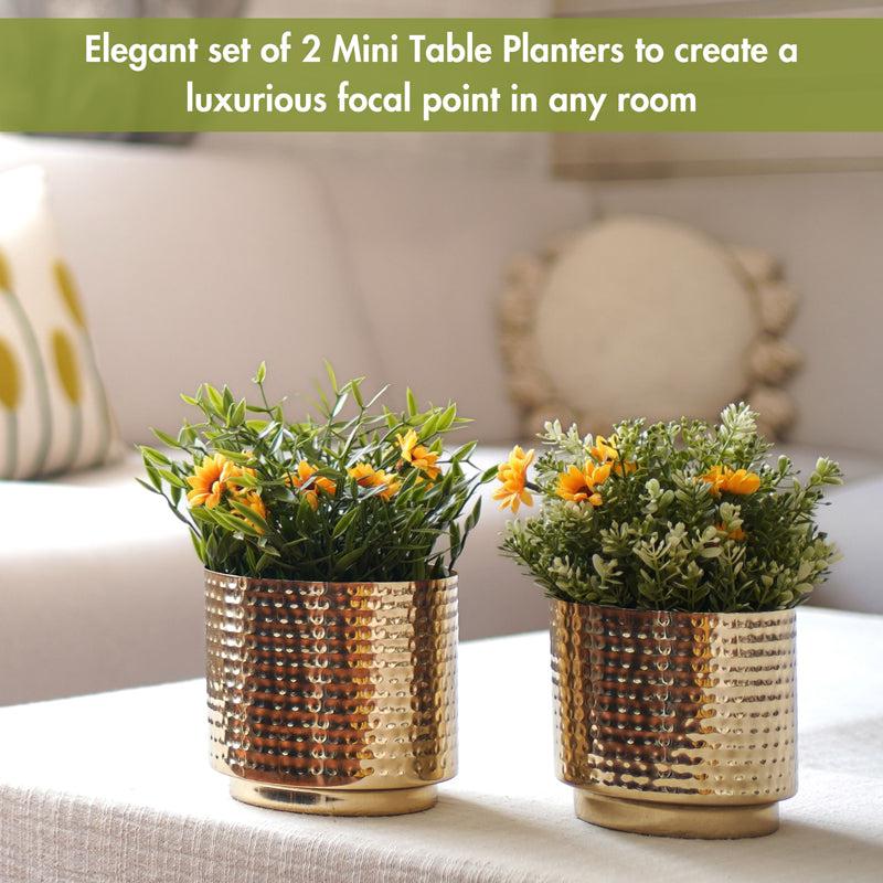 Buy Nisya Hammered Planter - Set Of Two Pots & Planters from Vaaree