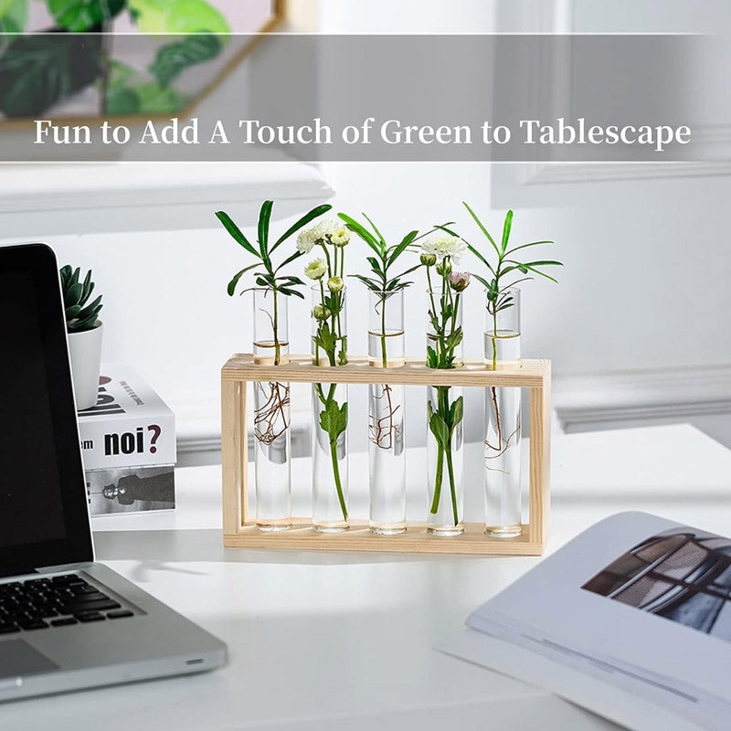 Buy Ana Test Tube Planter - Set Of Four Pots & Planters from Vaaree