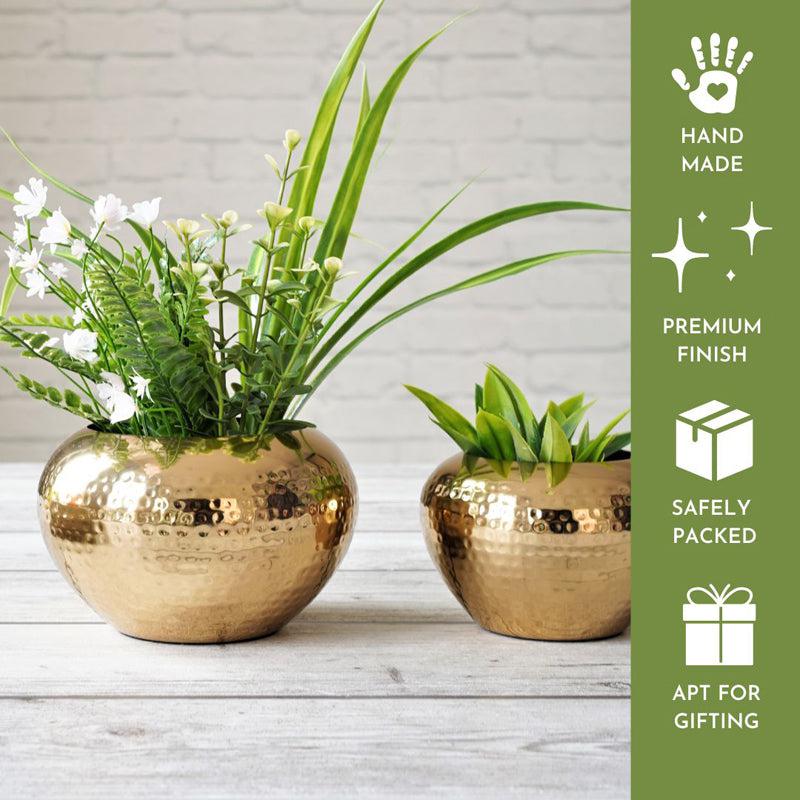 Buy Apple Gale Planter - Set Of Two Pots & Planters from Vaaree