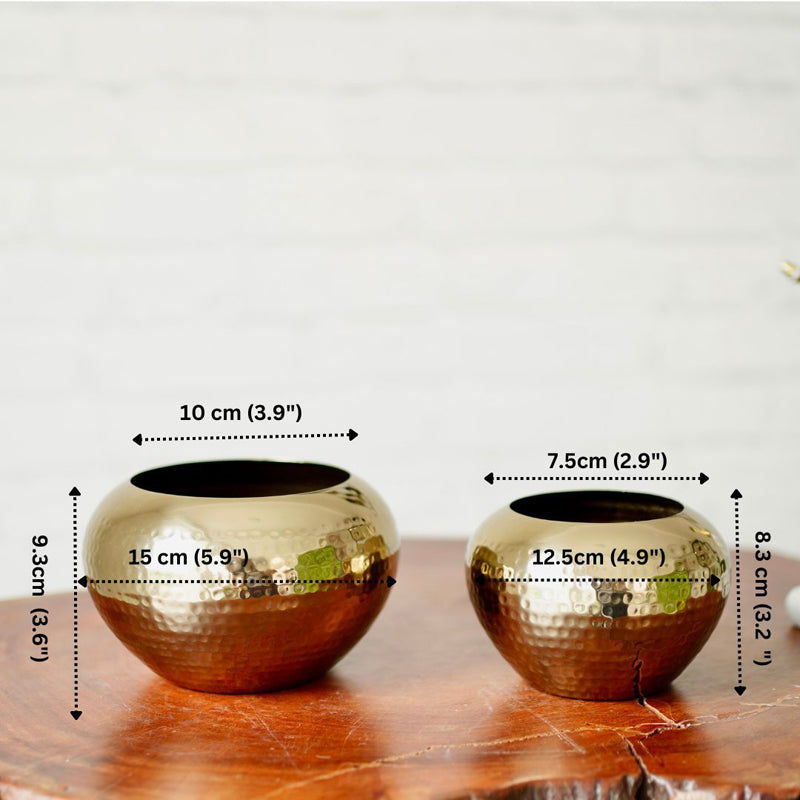 Buy Apple Gale Planter - Set Of Two Pots & Planters from Vaaree