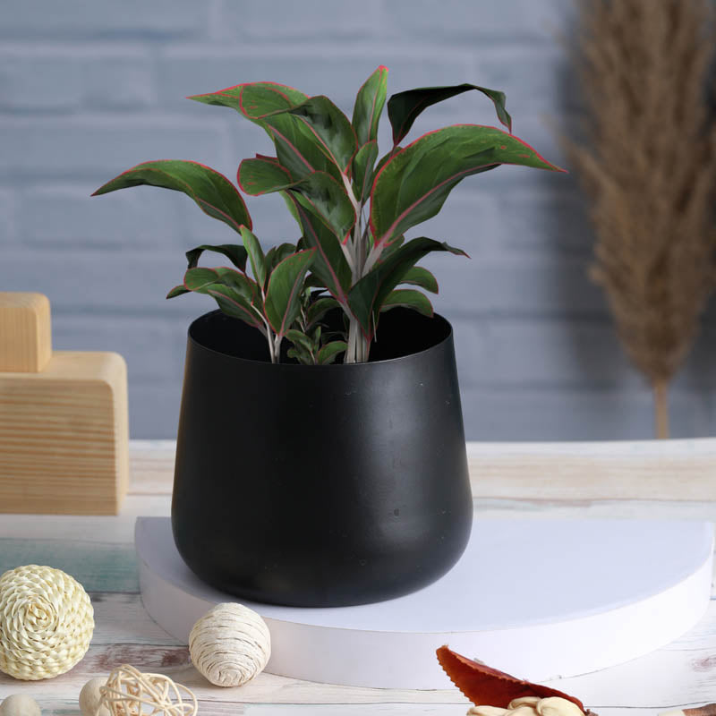 Buy Melva Handcrafted Planter - Black Pots & Planters from Vaaree