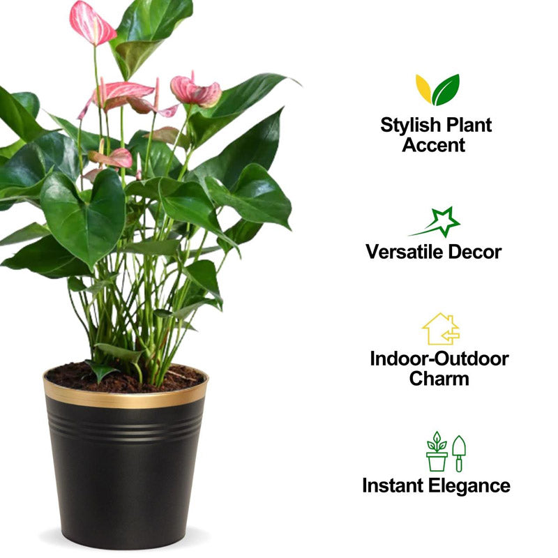 Buy Anira Black Planter Pots & Planters from Vaaree