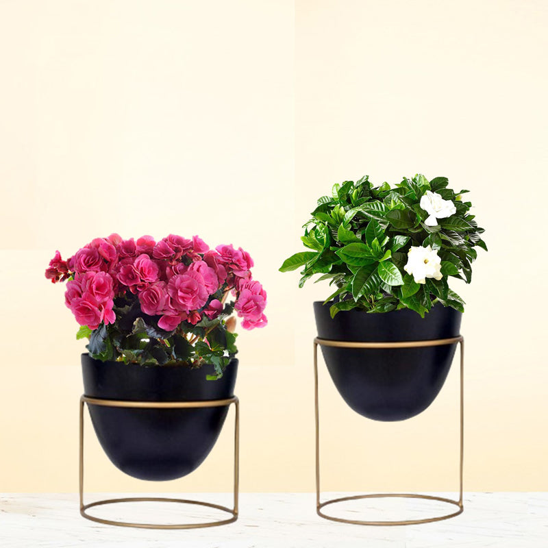 Buy Trudene Metal Pot With Stand (Black & Gold) - Set Of Two Pots & Planters from Vaaree