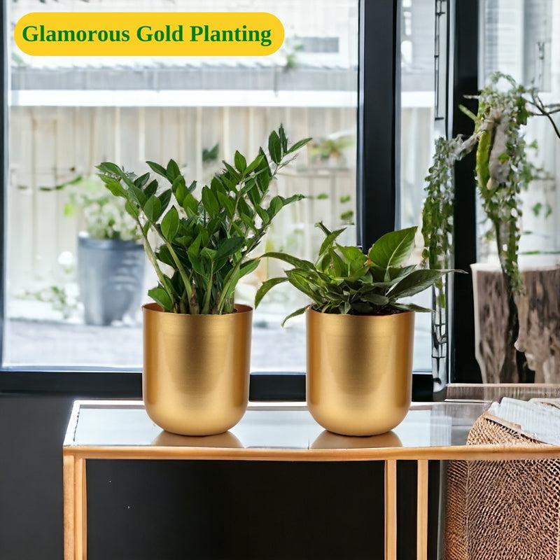 Buy Ruba Neita Planter (Gold) - Set Of Two Pots & Planters from Vaaree