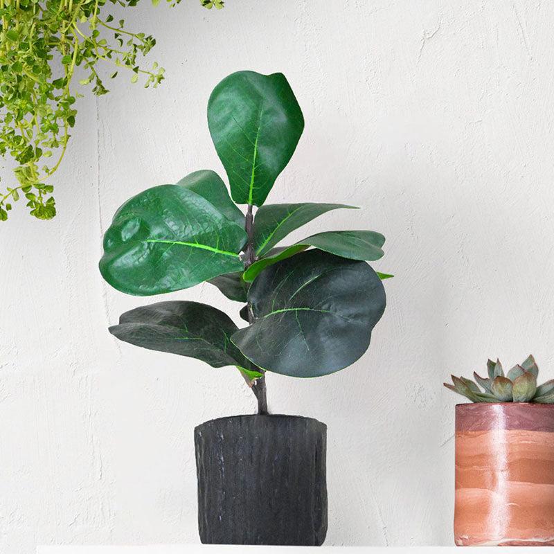 Buy Faux Everlasting Fiddle-Leaf Fig Plant With Pot - 28 cms Artificial Plants from Vaaree