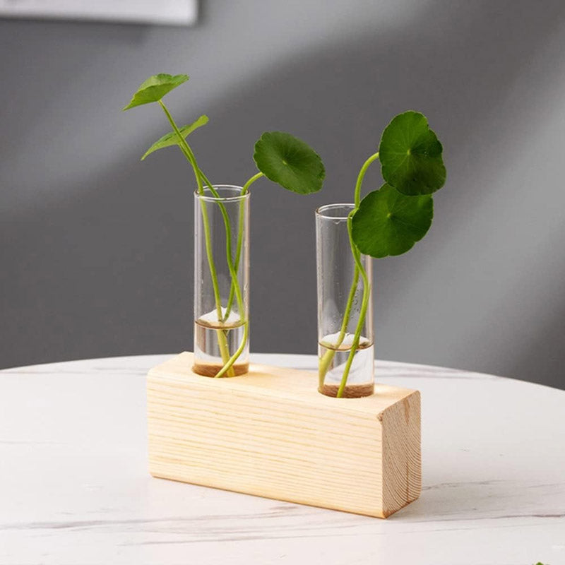 Buy Izar Test Tube Planter - Set Of Two Pots & Planters from Vaaree