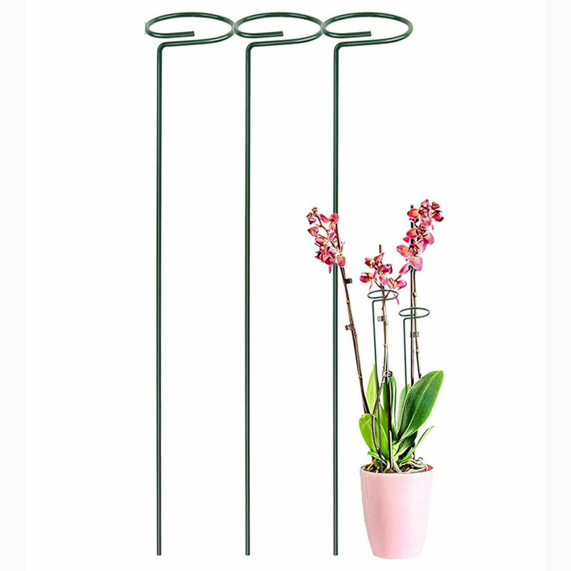 Buy Amo Metal Plant Stake - Set Of Three Garden Accessories from Vaaree