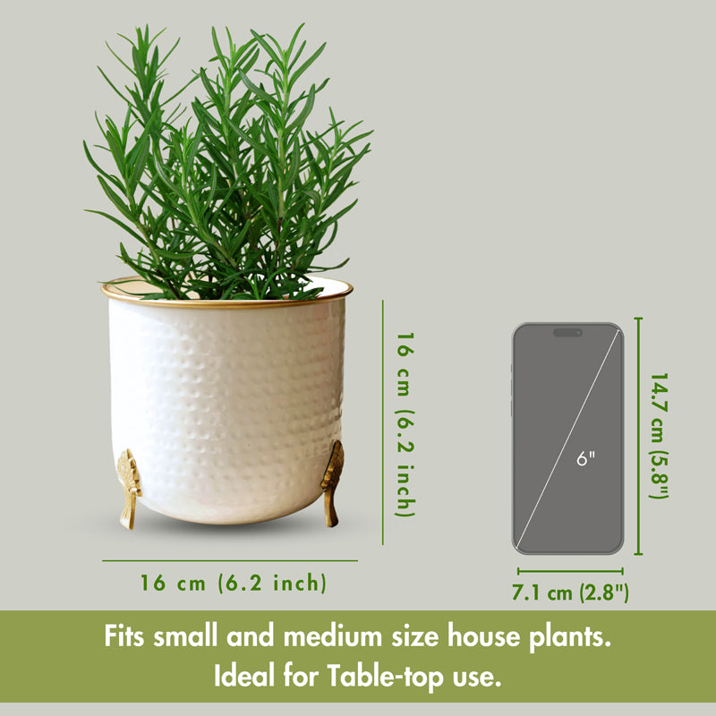 Buy Hallo Metal Hammered Planter Pots & Planters from Vaaree