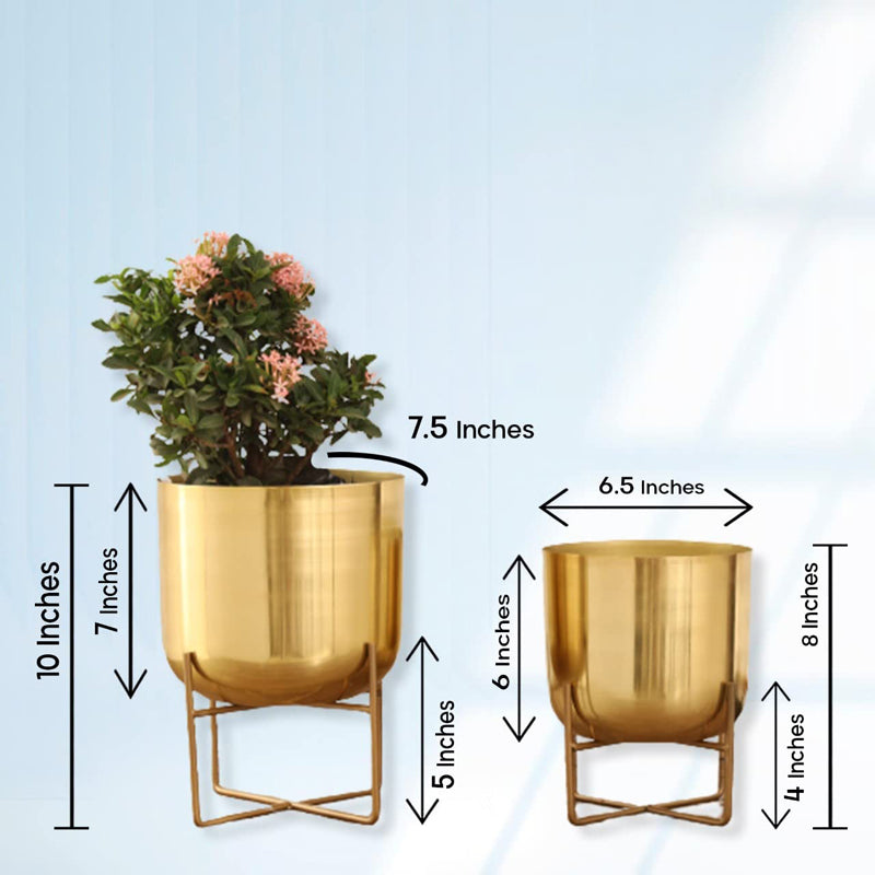 Buy Zeren Olive Planter (Gold) - Set Of Two Pots & Planters from Vaaree