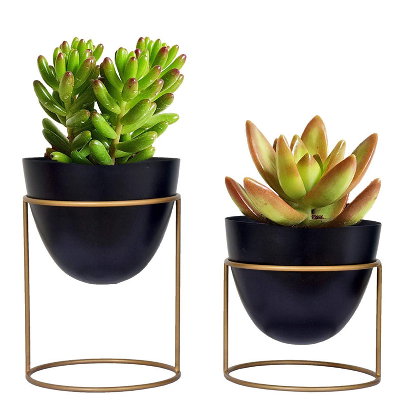 Buy Bellos Planter (Black) - Set Of Two Pots & Planters from Vaaree