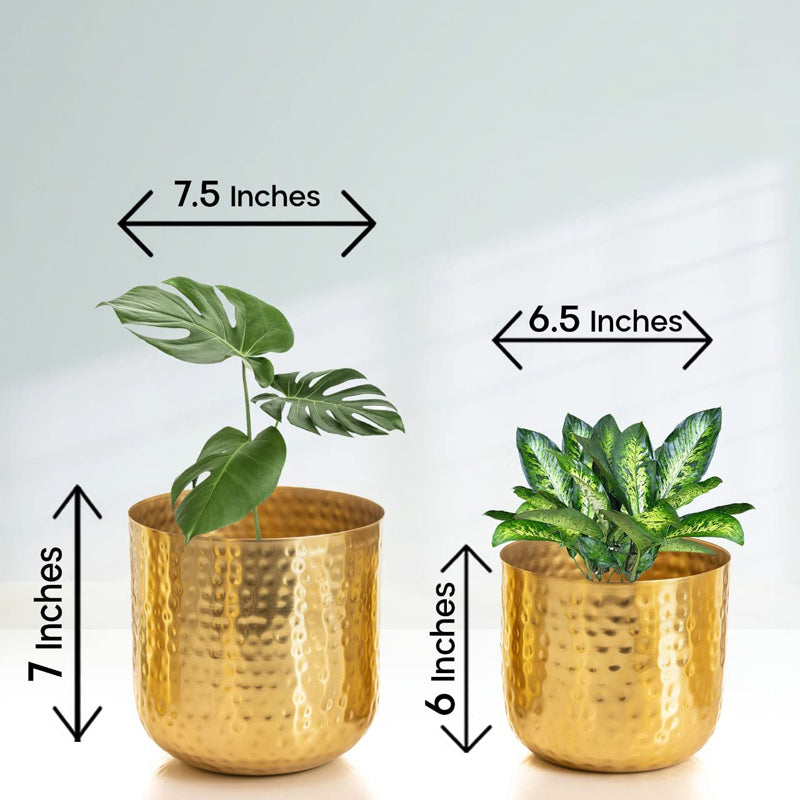 Buy Luxe Glow Hammered Planter (Gold) - Set Of Two Pots & Planters from Vaaree