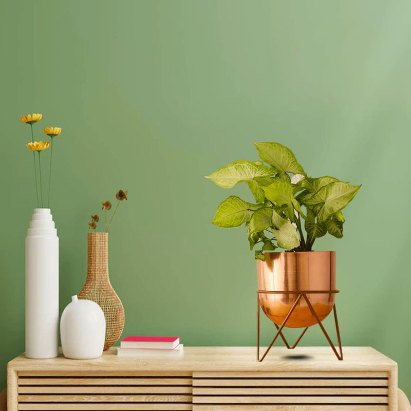 Buy Nuksa Zig Zag Planter - Rose Gold Pots & Planters from Vaaree