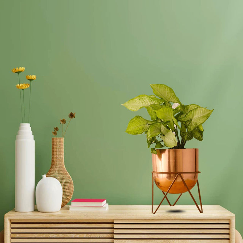 Buy Nuksa Zig Zag Planter (Rose Gold) - Set Of Two Pots & Planters from Vaaree