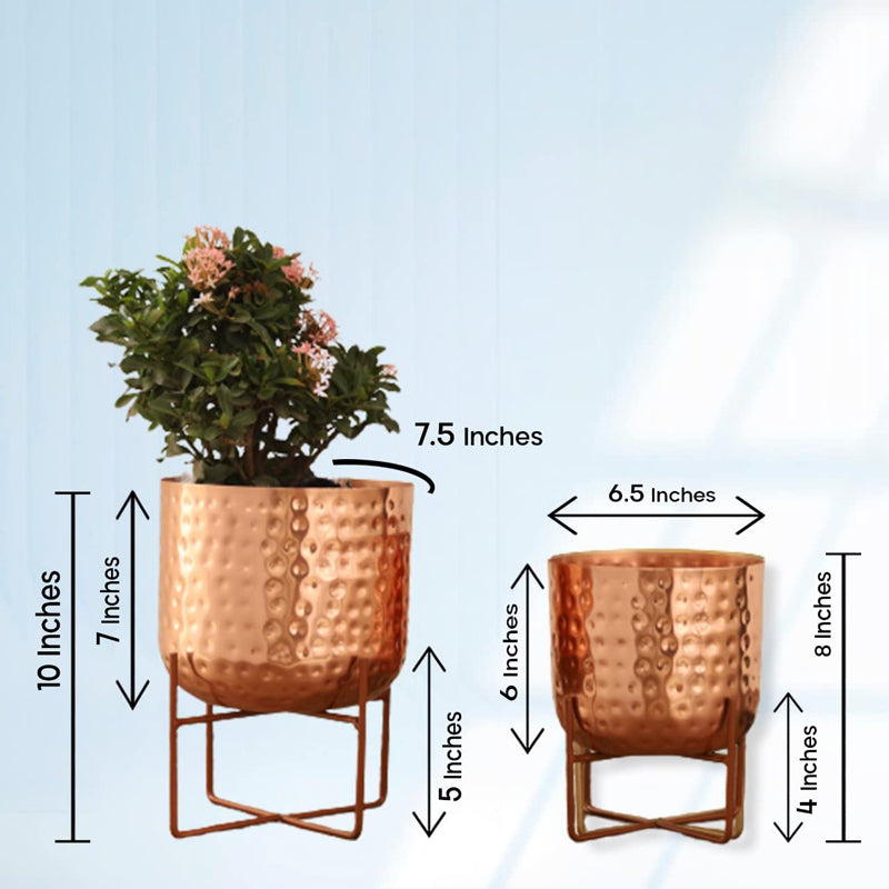 Buy Zeren Olive Hammered Planter (Rose Gold) - Set Of Two Pots & Planters from Vaaree