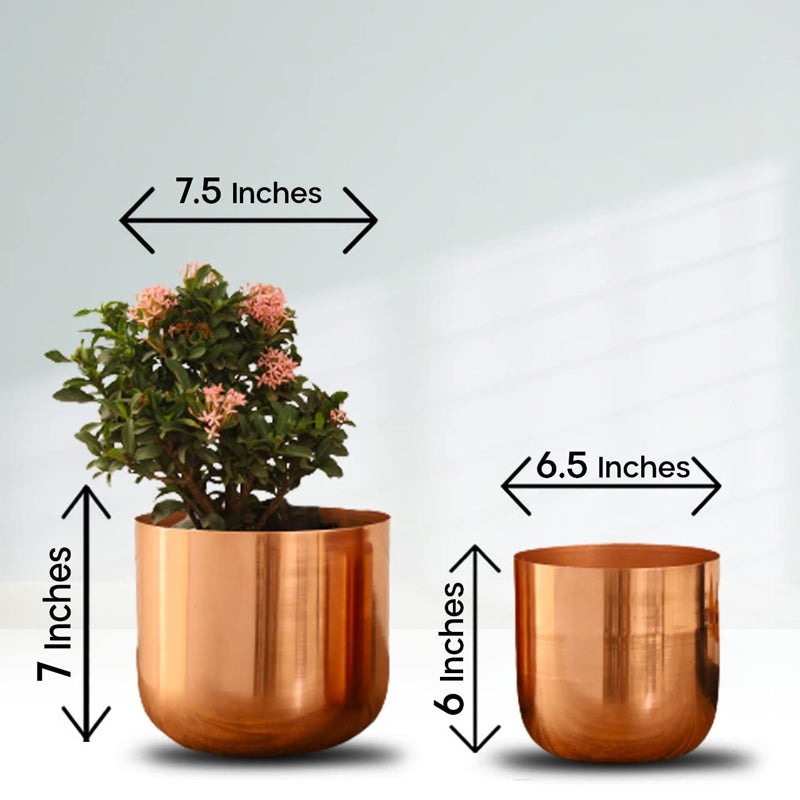 Buy Luxe Glow Planter (Rose Gold) - Set Of Two Pots & Planters from Vaaree