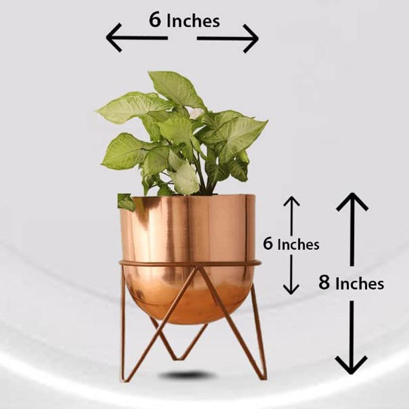 Buy Nuksa Zig Zag Planter - Rose Gold Pots & Planters from Vaaree