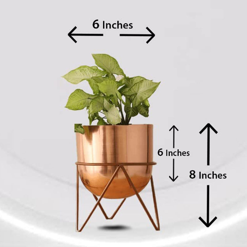 Buy Nuksa Zig Zag Planter (Rose Gold) - Set Of Two Pots & Planters from Vaaree