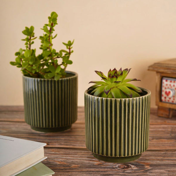 Ahanay Ribbed Planter (Olive Green) - Set Of Two