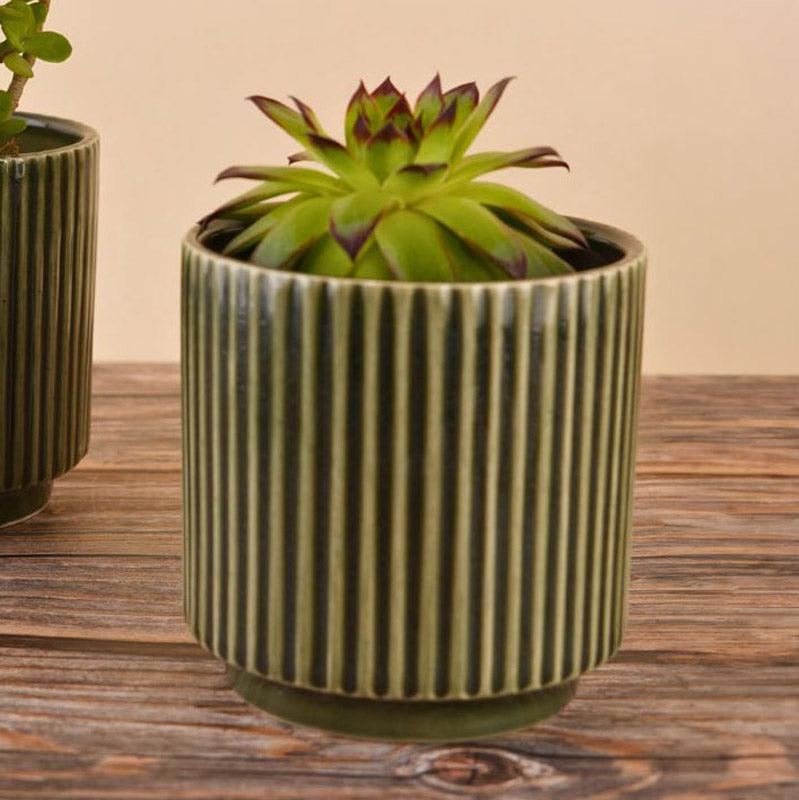 Buy Ahanay Ribbed Planter (Olive Green) -Single Piece Pots & Planters from Vaaree