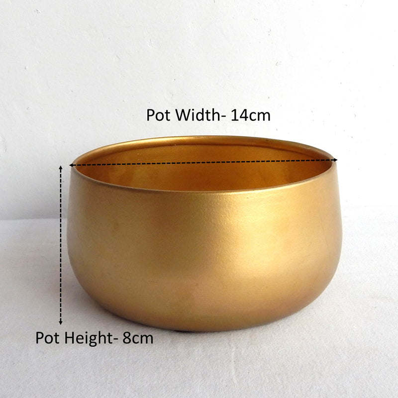 Buy Sylvie Metal Planter - Gold Pots & Planters from Vaaree