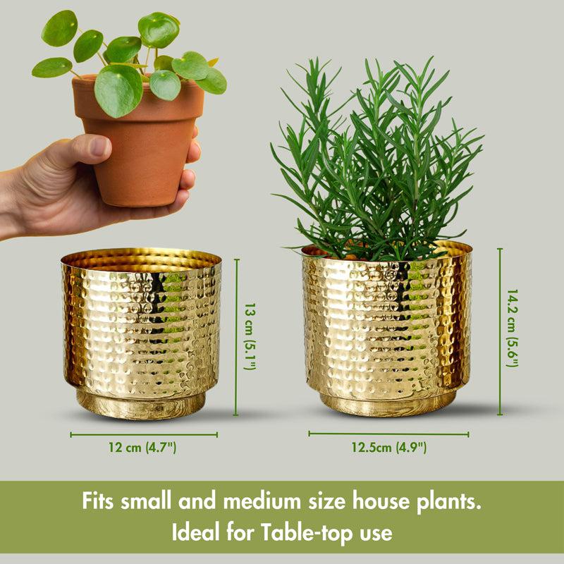 Buy Nisya Hammered Planter - Set Of Two Pots & Planters from Vaaree