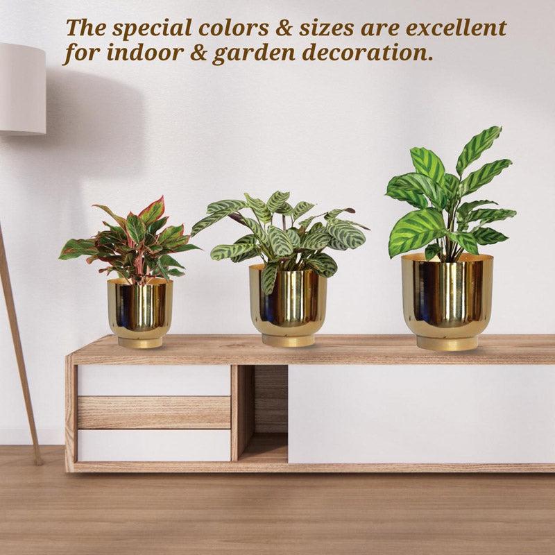 Buy Nishma Golden Planter - Set Of Three Pots & Planters from Vaaree