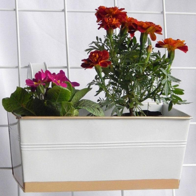 Buy Adro Planter - White Pots & Planters from Vaaree