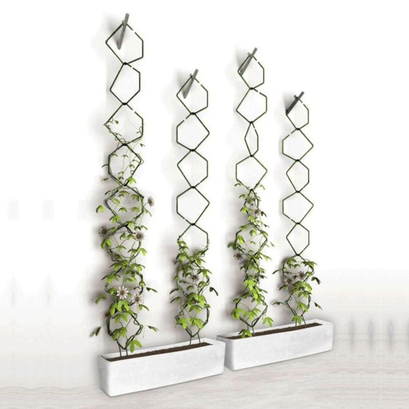 Buy Mexa Metal Plant Stake - Set Of Three Garden Accessories from Vaaree