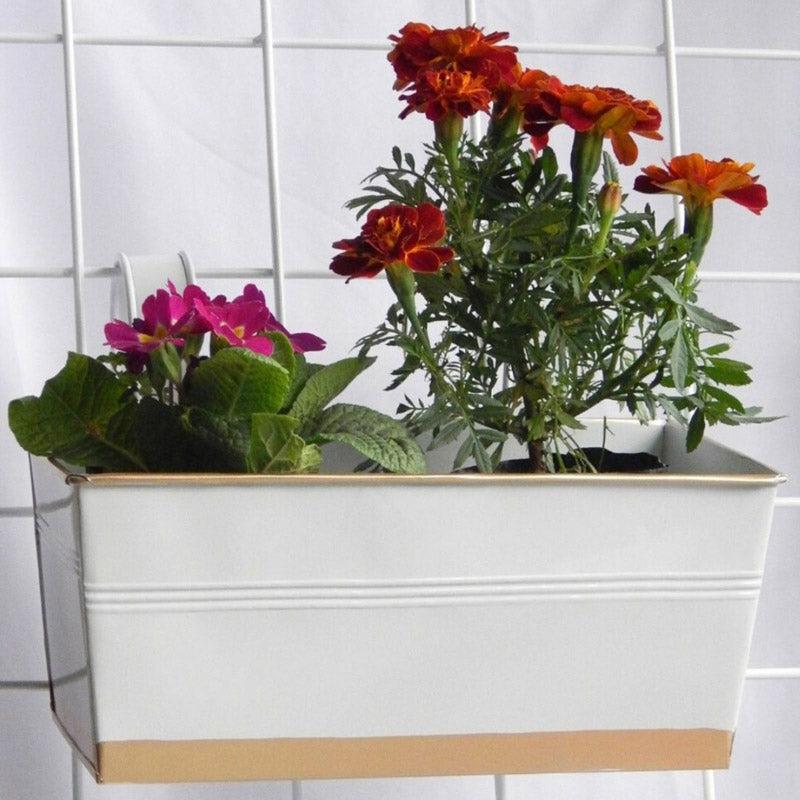 Buy Adro Planter (White) - Set Of Three Pots & Planters from Vaaree