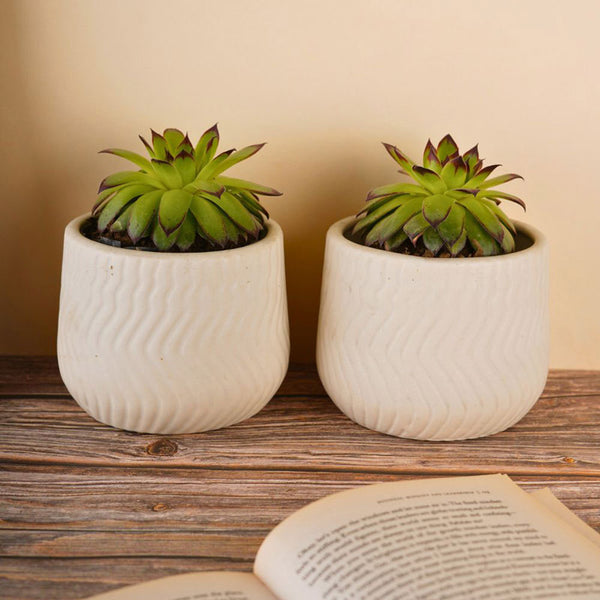 Plateo Wave Planter (White) - Set Of Two