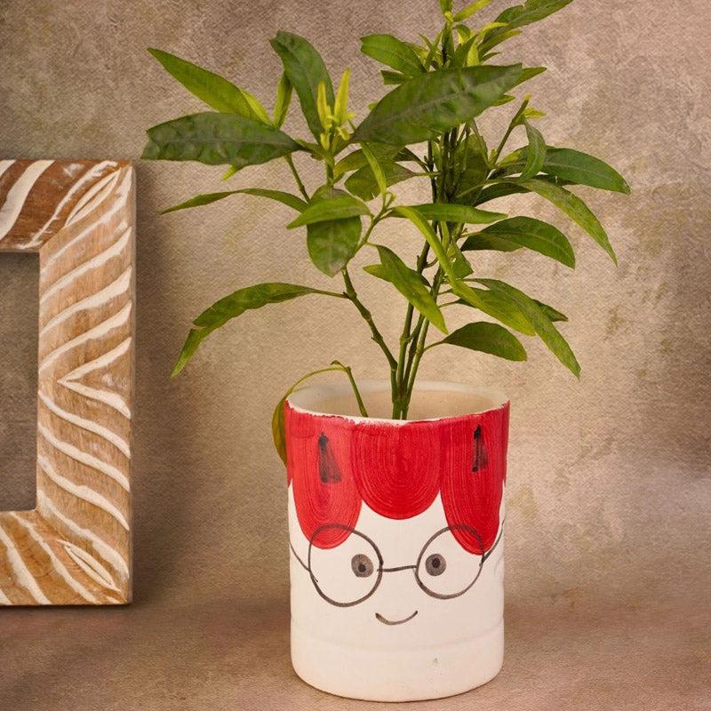 Buy Prodigy Child Planter Pots & Planters from Vaaree