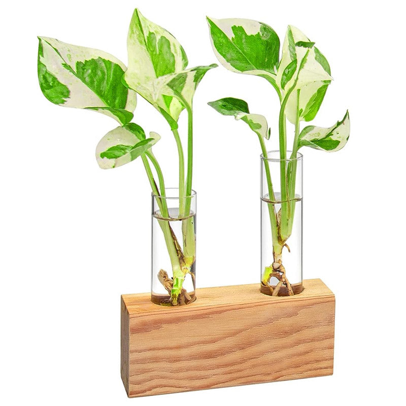 Buy Izar Test Tube Planter - Set Of Two Pots & Planters from Vaaree