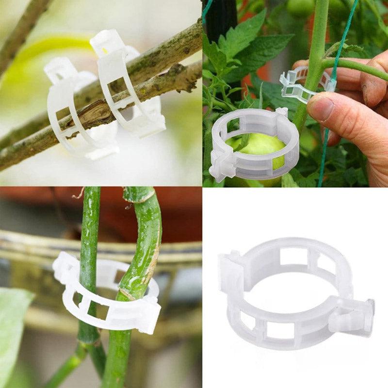 Buy Plant Pro Garden Clip (White) - Set Of Hundred Garden Accessories from Vaaree