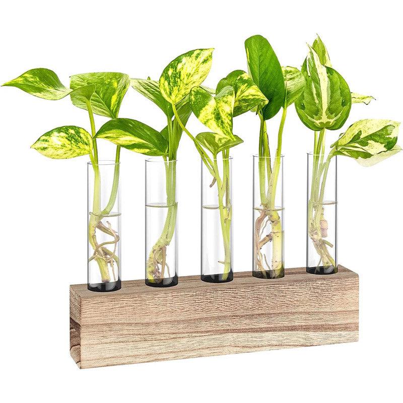 Buy Izar Test Tube Planter - Set Of Five Pots & Planters from Vaaree