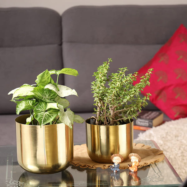 Buy Luxe Glow Planter (Gold) - Set Of Two Pots & Planters from Vaaree