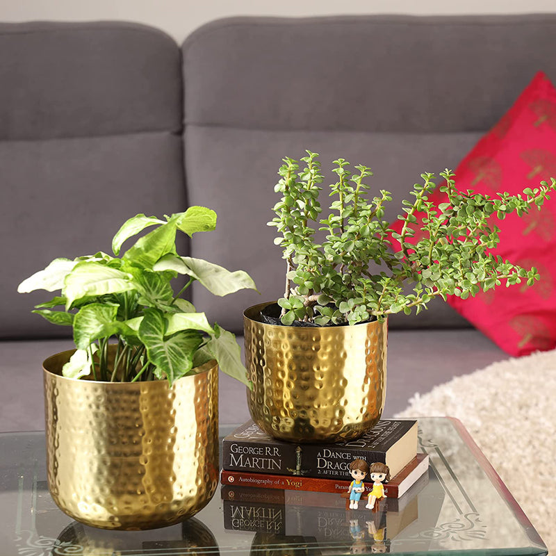 Buy Luxe Glow Hammered Planter (Gold) - Set Of Two Pots & Planters from Vaaree