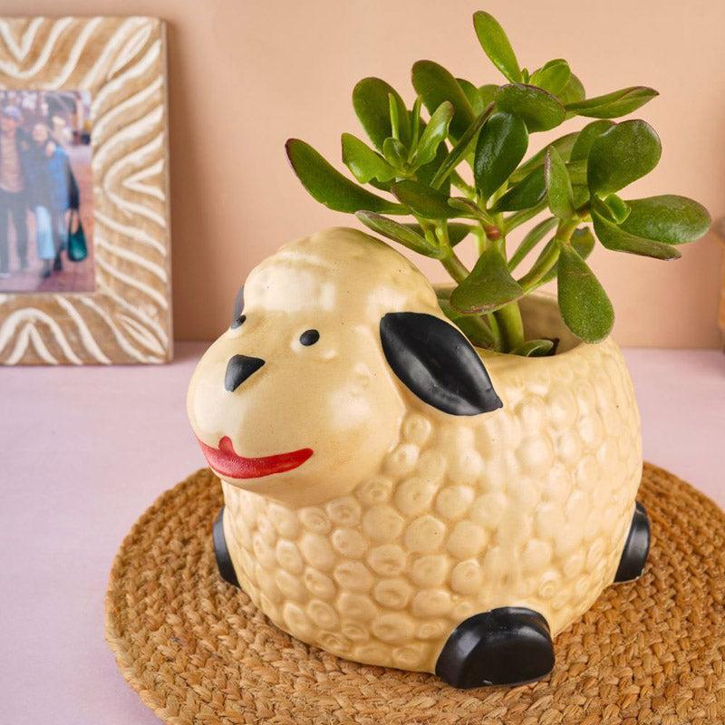 Buy Happy Shhep Planter Pots & Planters from Vaaree