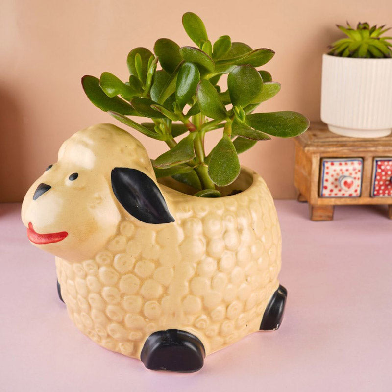 Buy Happy Shhep Planter Pots & Planters from Vaaree