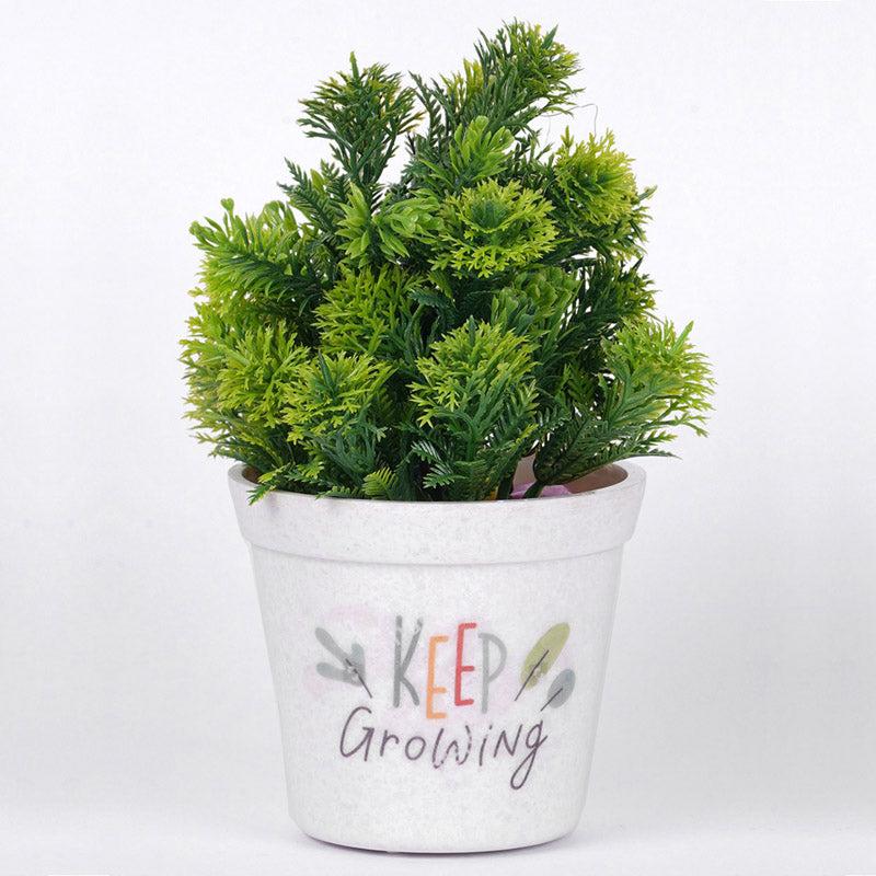 Buy Keep Growing White Planter Pots & Planters from Vaaree