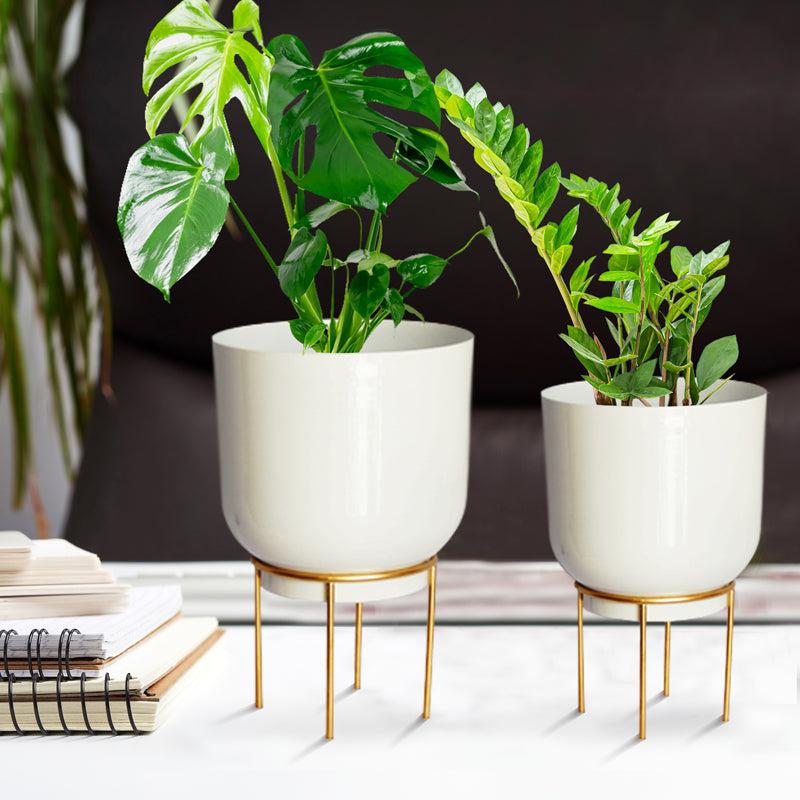 Buy Mazor Metal Planter (White & Gold) - Set Of Two Pots & Planters from Vaaree