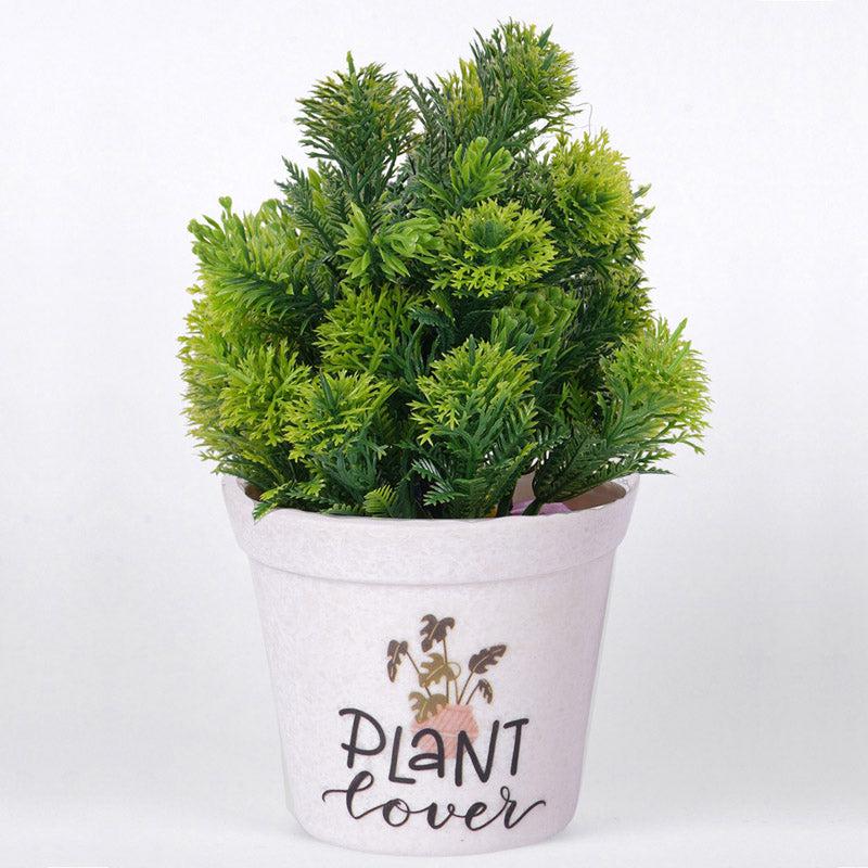 Buy Plant Lover White Planter Pots & Planters from Vaaree