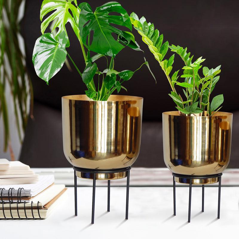 Buy Mazor Metal Planter (Gold) - Set Of Two Pots & Planters from Vaaree