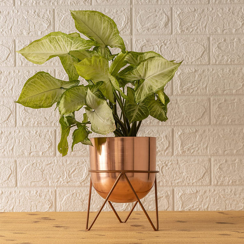 Buy Nuksa Zig Zag Planter - Rose Gold Pots & Planters from Vaaree