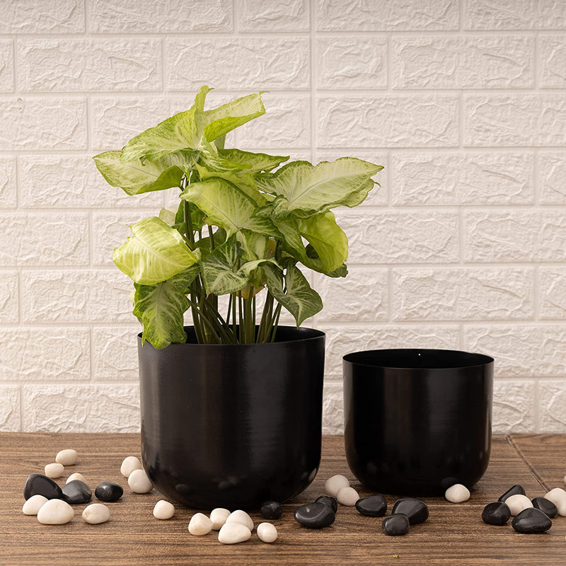 Buy Luxe Glow Planter (Black) - Set Of Two Pots & Planters from Vaaree