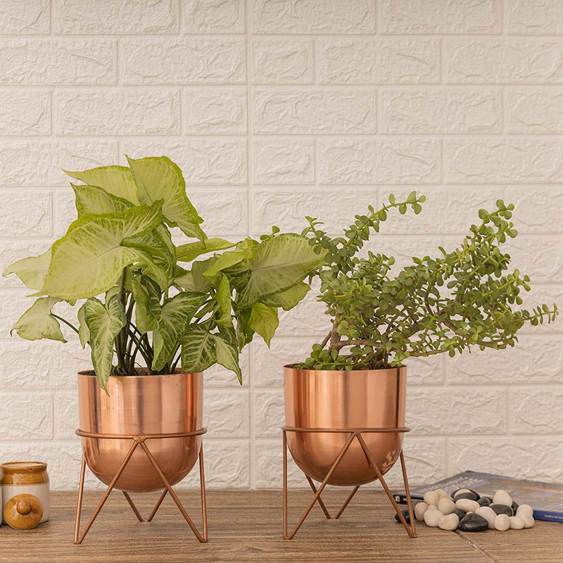 Buy Nuksa Zig Zag Planter (Rose Gold) - Set Of Two Pots & Planters from Vaaree